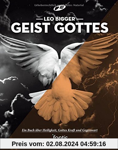 Geist Gottes: Ein Buch über Heiligkeit, Kraft und Gottes Gegenwart