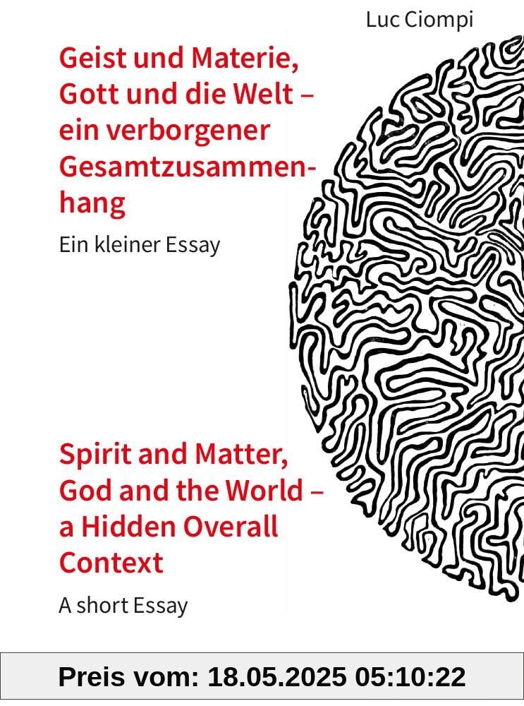 Geist und Materie, Gott und die Welt – ein verborgener Gesamtzusammenhang / Spirit and Matter, God and the World – a Hidden Overall Context: Ein ... Essay (Verlag für systemische Forschung)