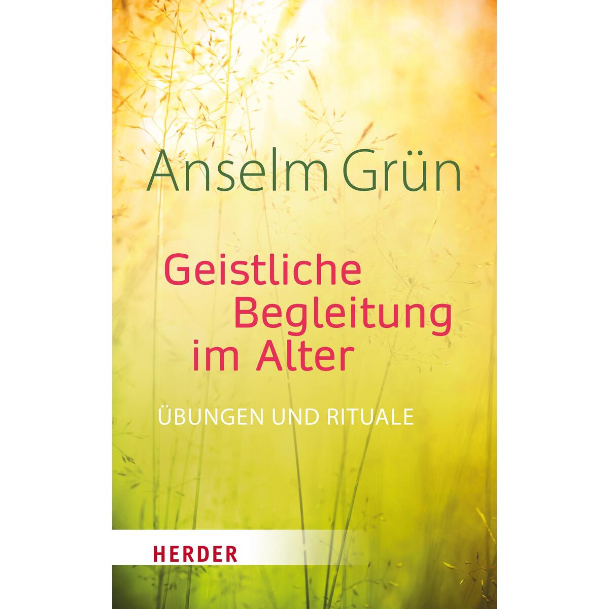 Geistliche Begleitung im Alter von Herder Verlag GmbH