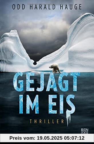 Gejagt im Eis: Thriller