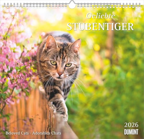 Geliebte Stubentiger 2026 - DUMONT Wandkalender - mit den wichtigsten Feiertagen - Format 38,0 x 35,5 cm: Beloved Cats - Adorables Chats Geliebte Stubentiger 2026 - DUMONT Wandkalender - mit den wichtigsten Feiertagen - Format 38,0 x 35,5 cm: Beloved Cats - Adorables Chats von DUMONT