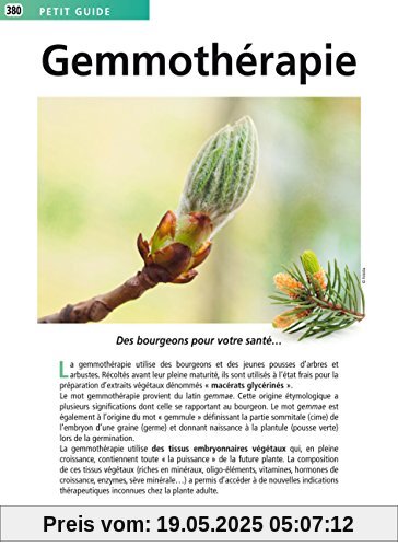 Gemmothérapie