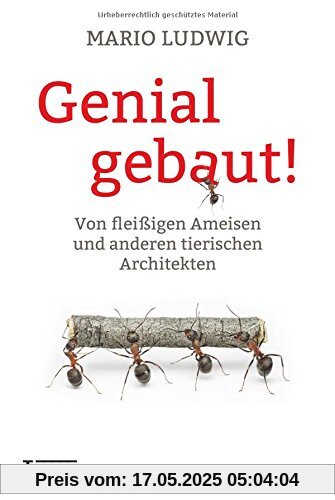 Genial gebaut!: Von fleißigen Ameisen und anderen tierischen Architekten