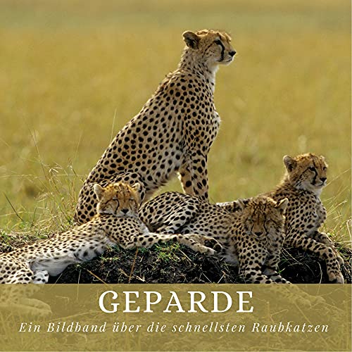 Geparde: Ein Bildband über die schnellsten Raubkatzen