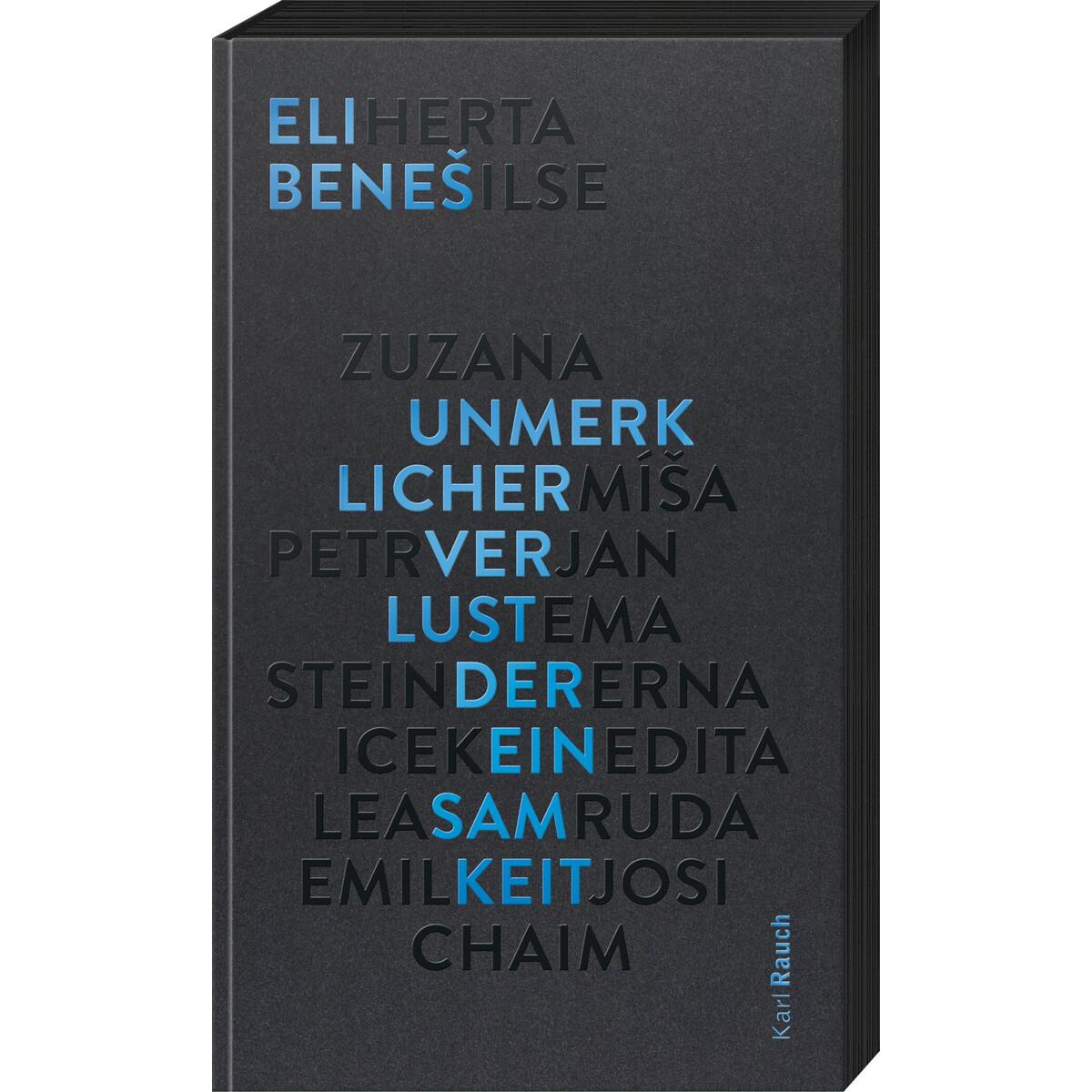 Unmerklicher Verlust der Einsamkeit Unmerklicher Verlust der Einsamkeit von Rauch, Karl Verlag