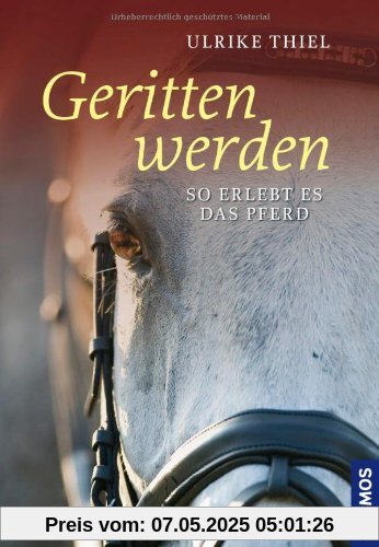 Geritten werden: So erlebt es das Pferd