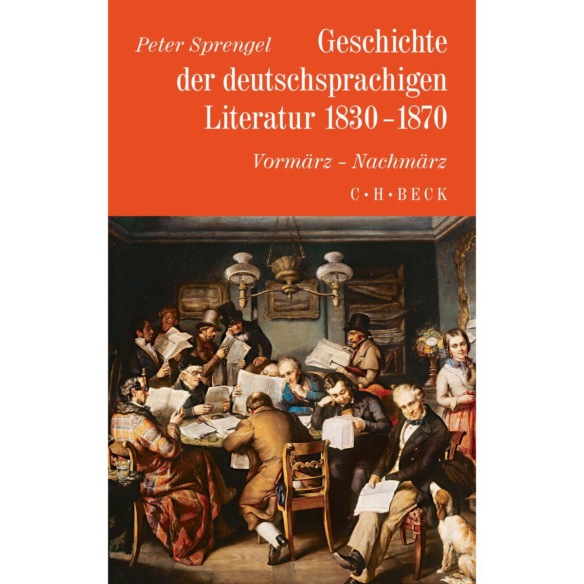 Geschichte der deutschen Literatur Bd. 8: Geschichte der deutschsprachigen Lite... Geschichte der deutschen Literatur Bd. 8: Geschichte der deutschsprachigen Lite... von C.H. Beck