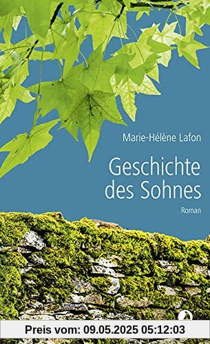 Geschichte des Sohnes: Roman (Edition Blau)