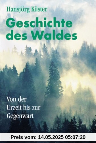 Geschichte des Waldes: Von der Urzeit bis zur Gegenwart