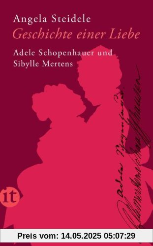 Geschichte einer Liebe: Adele Schopenhauer und Sibylle Mertens (insel taschenbuch)