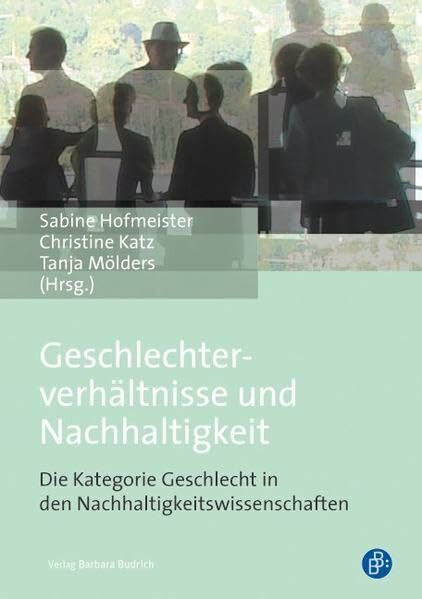 Geschlechterverhältnisse und Nachhaltigkeit: Die Kategorie Geschlecht in den Nachhaltigkeitswi...