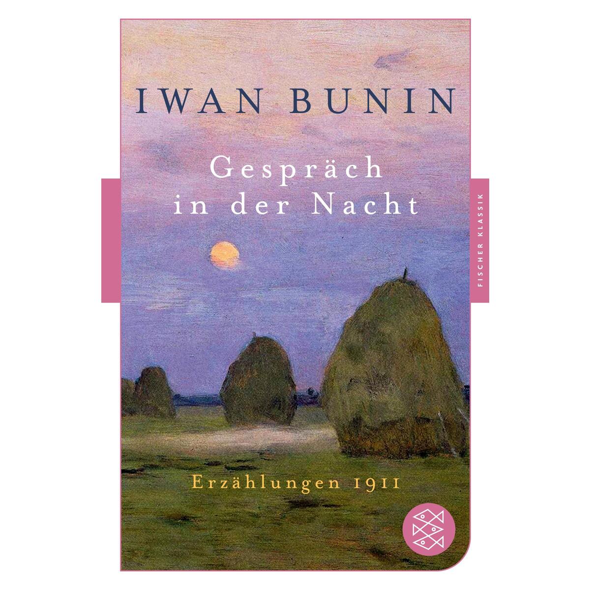 Gespräch in der Nacht von S. Fischer Verlag