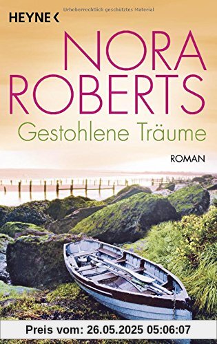 Gestohlene Träume: Roman