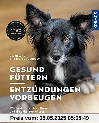 Gesund füttern - Entzündungen vorbeugen: Wie Ernährung Haut, Darm und Gelenke beeinflusst Gesund füttern - Entzündungen vorbeugen: Wie Ernährung Haut, Darm und Gelenke beeinflusst