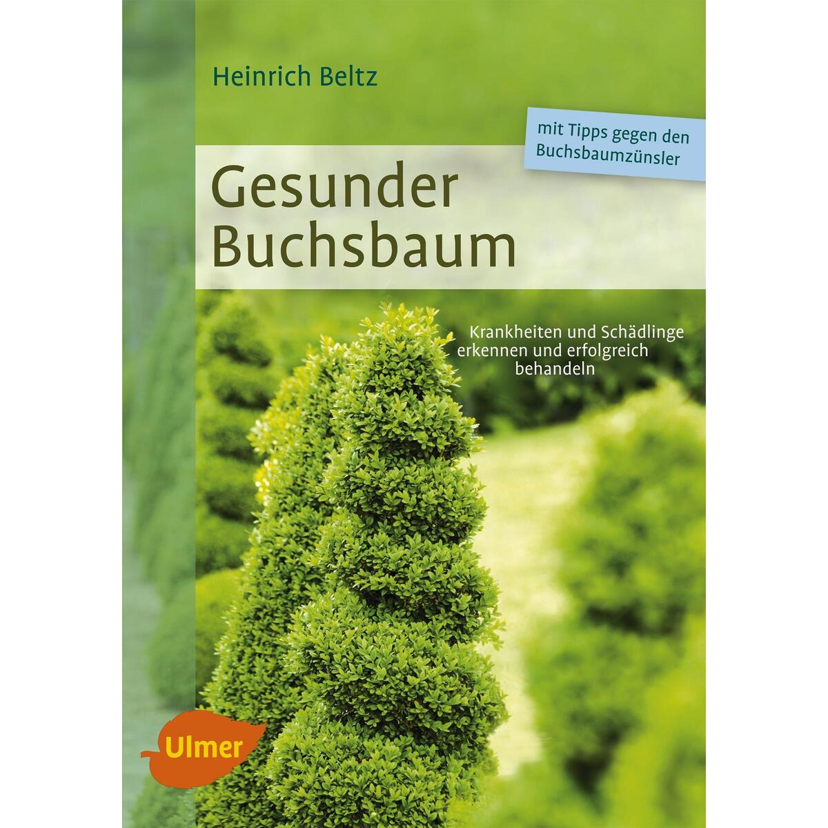 Gesunder Buchsbaum von Ulmer Eugen Verlag