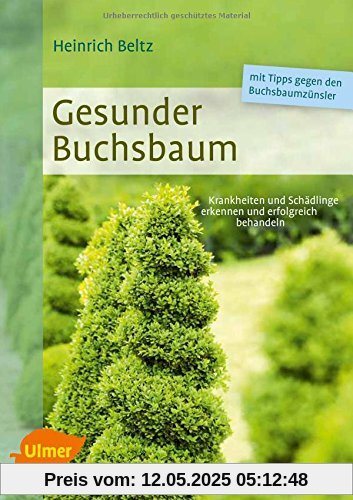 Gesunder Buchsbaum: Krankheiten und Schädlinge erkennen und erfolgreich behandeln