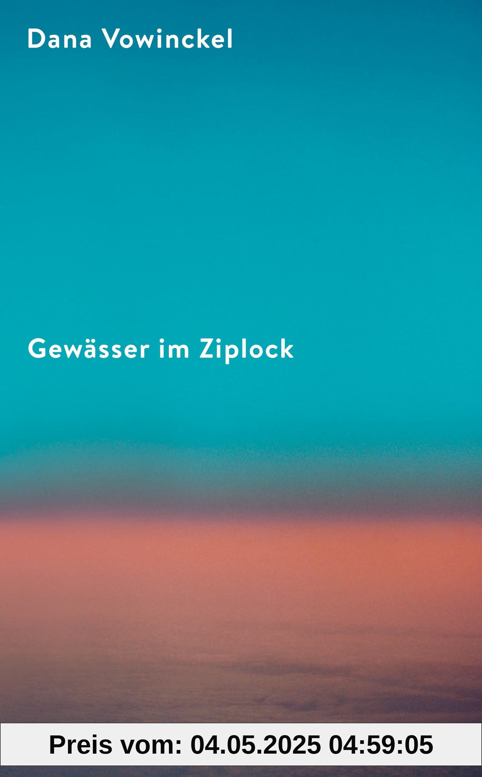 Gewässer im Ziplock: Roman | Ein mitreißendes Porträt jüdischen Familienlebens heute Gewässer im Ziplock: Roman | Ein mitreißendes Porträt jüdischen Familienlebens heute