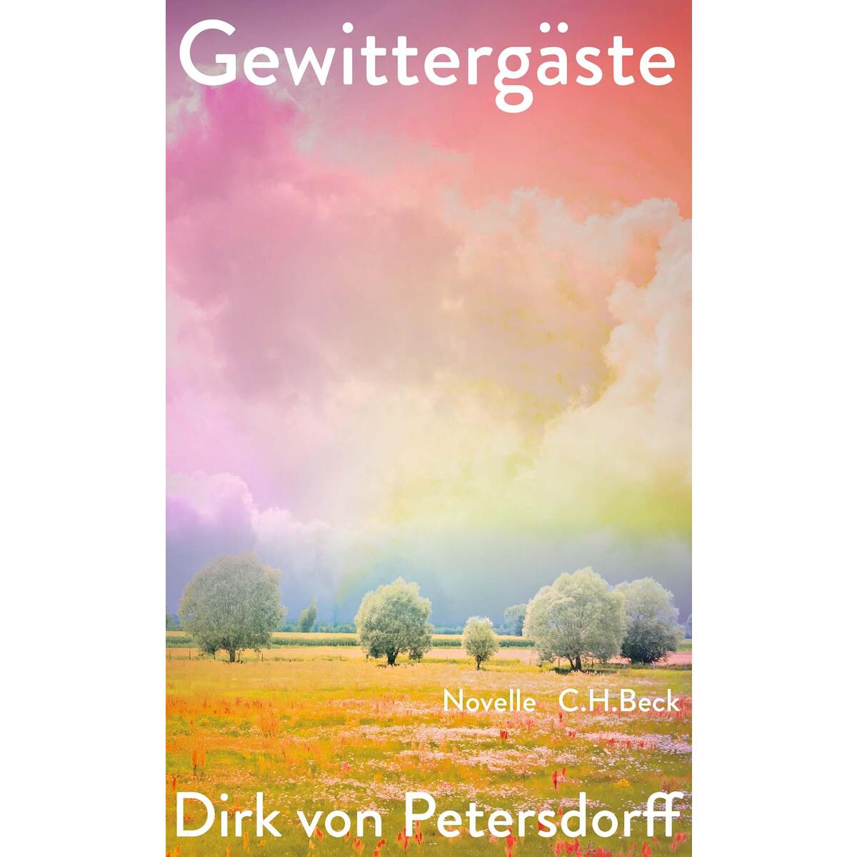 Gewittergäste von C.H. Beck
