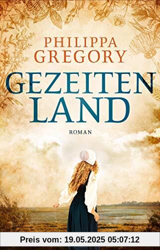 Gezeitenland: Roman