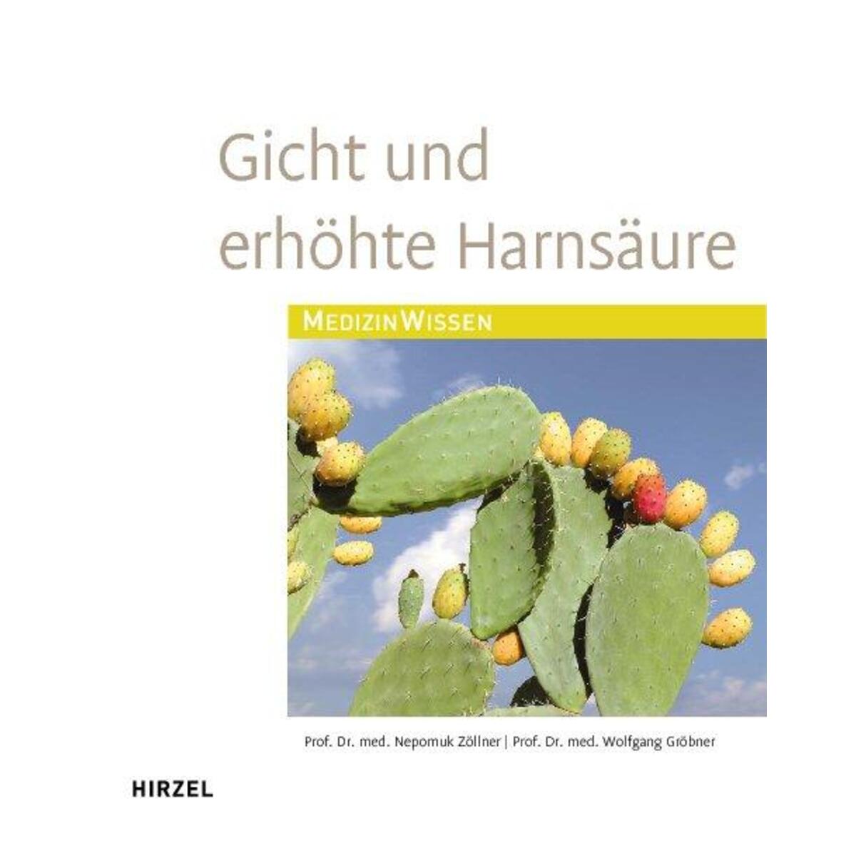 Gicht und erhöhte Harnsäure von Hirzel S. Verlag