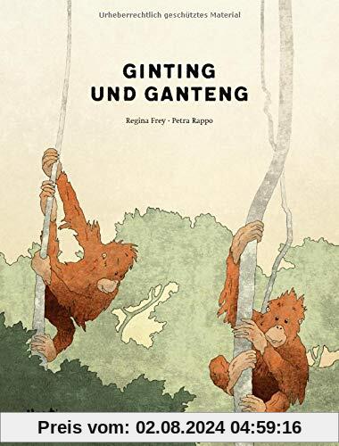 Ginting und Ganteng: Eine gezeichnete Reportage über Orang-Utans auf Sumatra