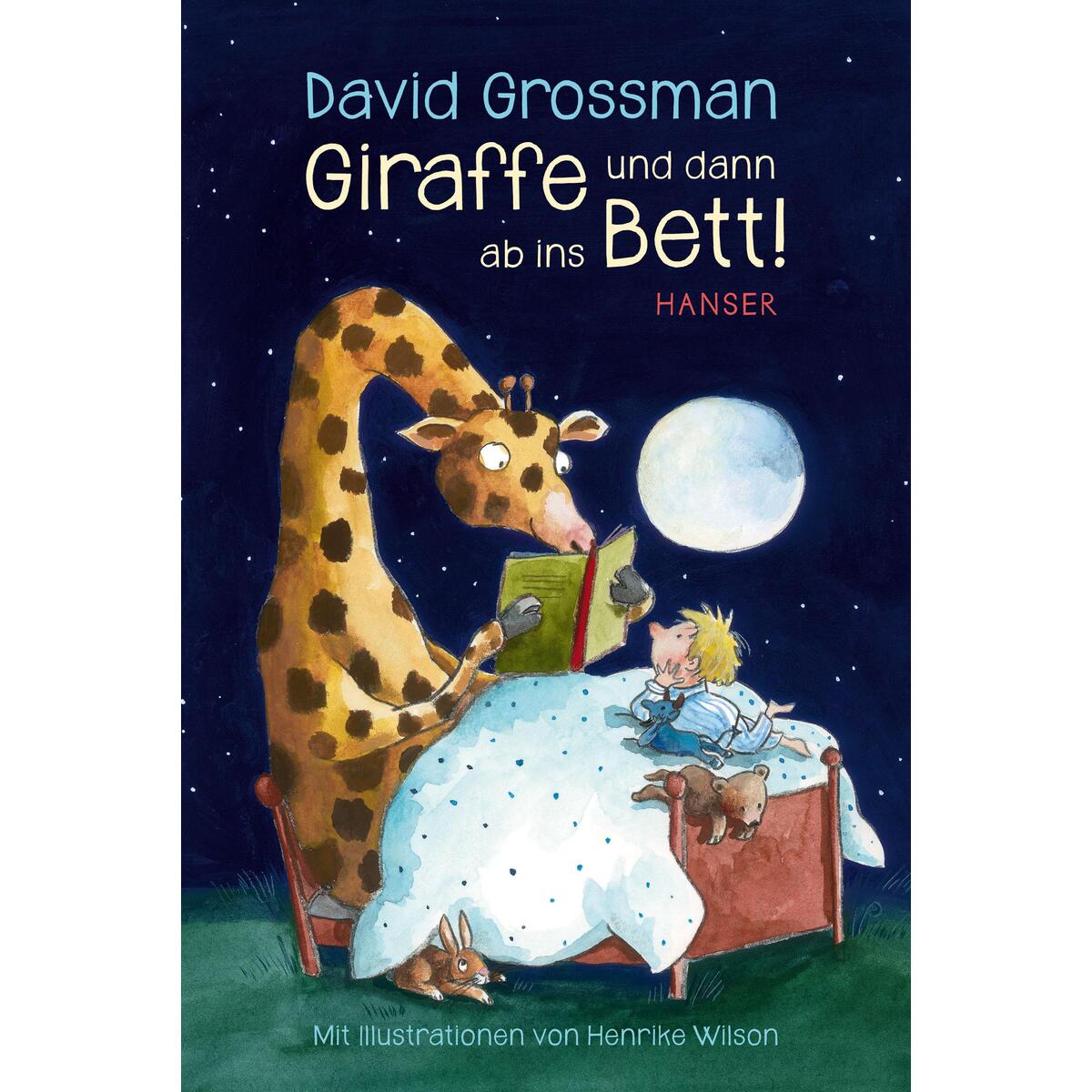 Giraffe und dann ab ins Bett! von Carl Hanser Verlag