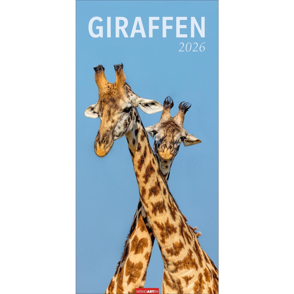 Giraffen Kalender 2026 Giraffen Kalender 2026 von Weingarten
