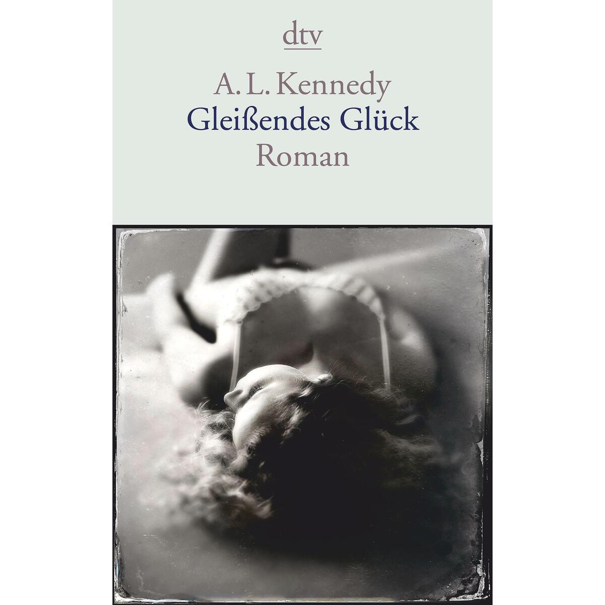 Gleißendes Glück von dtv Verlagsgesellschaft