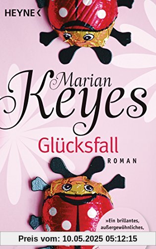 Glücksfall: Roman