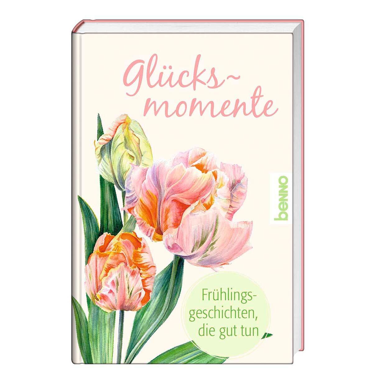 Glücksmomente von St. Benno Verlag