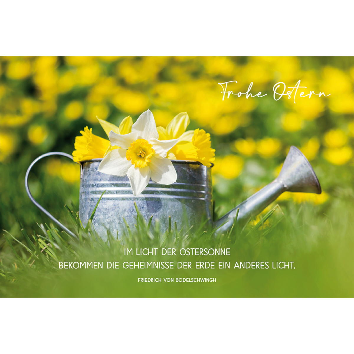 Glückwunschkarte - Frohe Ostern (6 Stück) von Butzon und Bercker