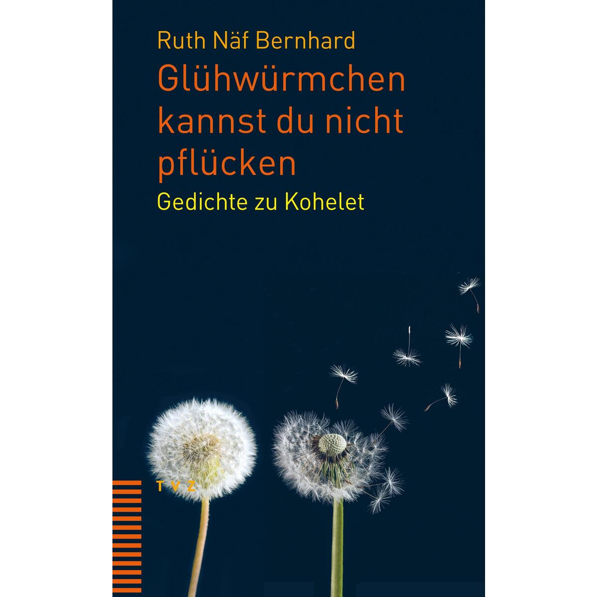 Glühwürmchen kannst du nicht pflücken Glühwürmchen kannst du nicht pflücken von Theologischer Verlag Ag