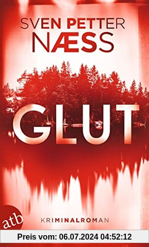 Glut: Kriminalroman (Team Oslo ermittelt, Band 1)