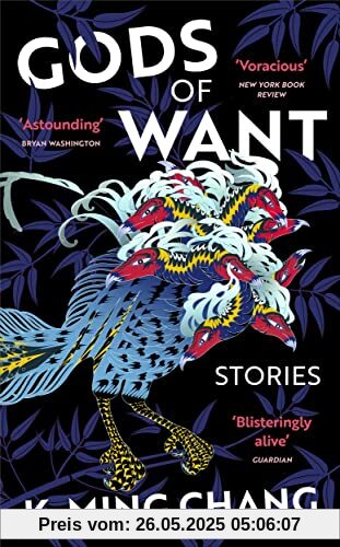 Gods of Want: A New York Times Notable Book of 2022