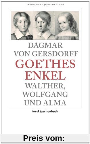 Goethes Enkel: Walther, Wolfgang und Alma (insel taschenbuch)