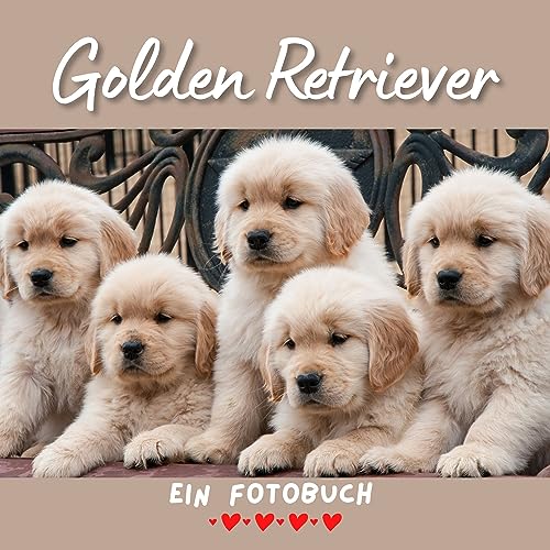Golden Retriever: Ein Fotobuch. Das perfekte Geschenk für Männer oder Frauen für Weihnachten und zum Geburtstag