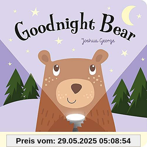 Goodnight Bear (Magic Torch Books)