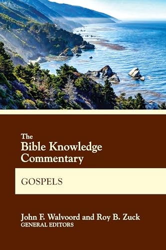 Gospels Gospels von David C Cook