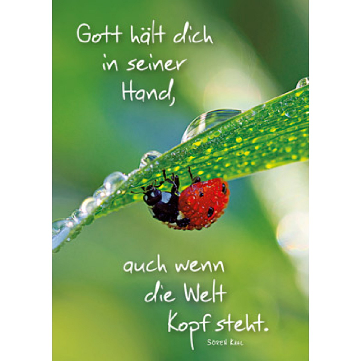 Gott hält dich von Kawohl-Verlag