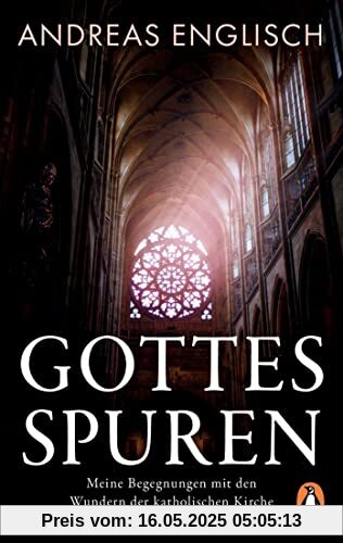 Gottes Spuren: Meine Begegnungen mit den Wundern der katholischen Kirche