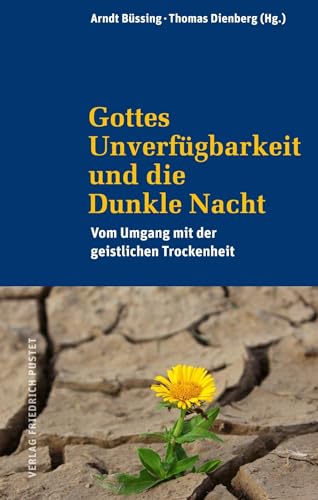 Gottes Unverfügbarkeit und die Dunkle Nacht: Vom Umgang mit der geistlichen Trockenheit von Pustet, Friedrich GmbH