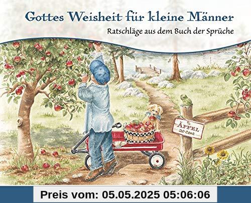 Gottes Weisheit für kleine Männer: Ratschläge aus dem Buch der Sprüche