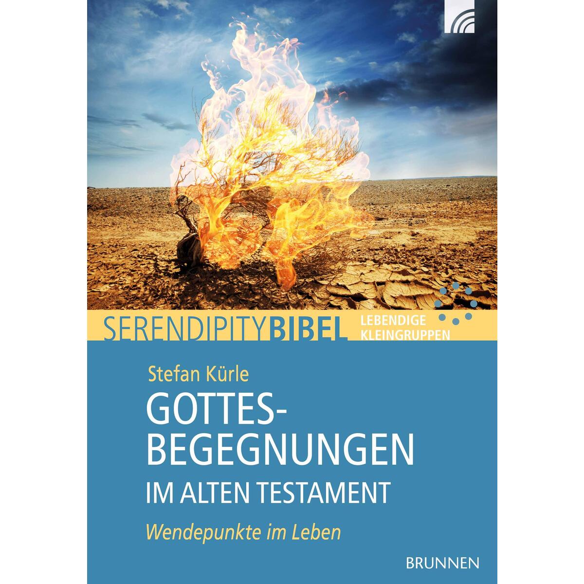 Gottesbegegnungen im Alten Testament von Brunnen-Verlag GmbH