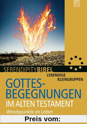 Gottesbegegnungen im Alten Testament: Wendepunkte im Leben