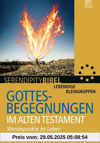 Gottesbegegnungen im Alten Testament: Wendepunkte im Leben Gottesbegegnungen im Alten Testament: Wendepunkte im Leben
