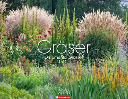 Gräser Kalender 2026: Jahres-Wandkalender 2026 mit abwechslungsreichen Aufnahmen von Ziergräsern. Prachtvolle Bilder von schönen Gärten im Wandel der ... Hochwertiger Fotokalender (44 x 34 cm) von Weingarten