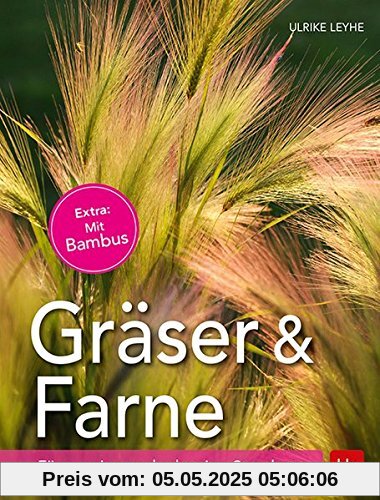 Gräser und Farne: Für sonnige und schattige Standorte
