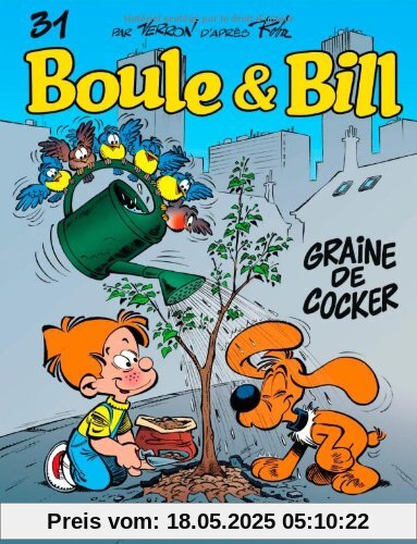Graine De Cocker