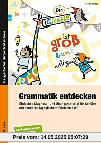 Grammatik entdecken: Einfaches Diagnose- und Übungsmaterial für Schüler mit sonderpädagogischem Förderbedarf (2. bis 4. Klasse)