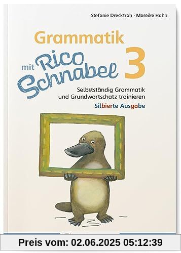 Grammatik mit Rico Schnabel, Klasse 3 - silbierte Ausgabe: Selbstständig Grammatik und Grundwortschatz trainieren (Rico Schnabel: Übungshefte Deutsch)